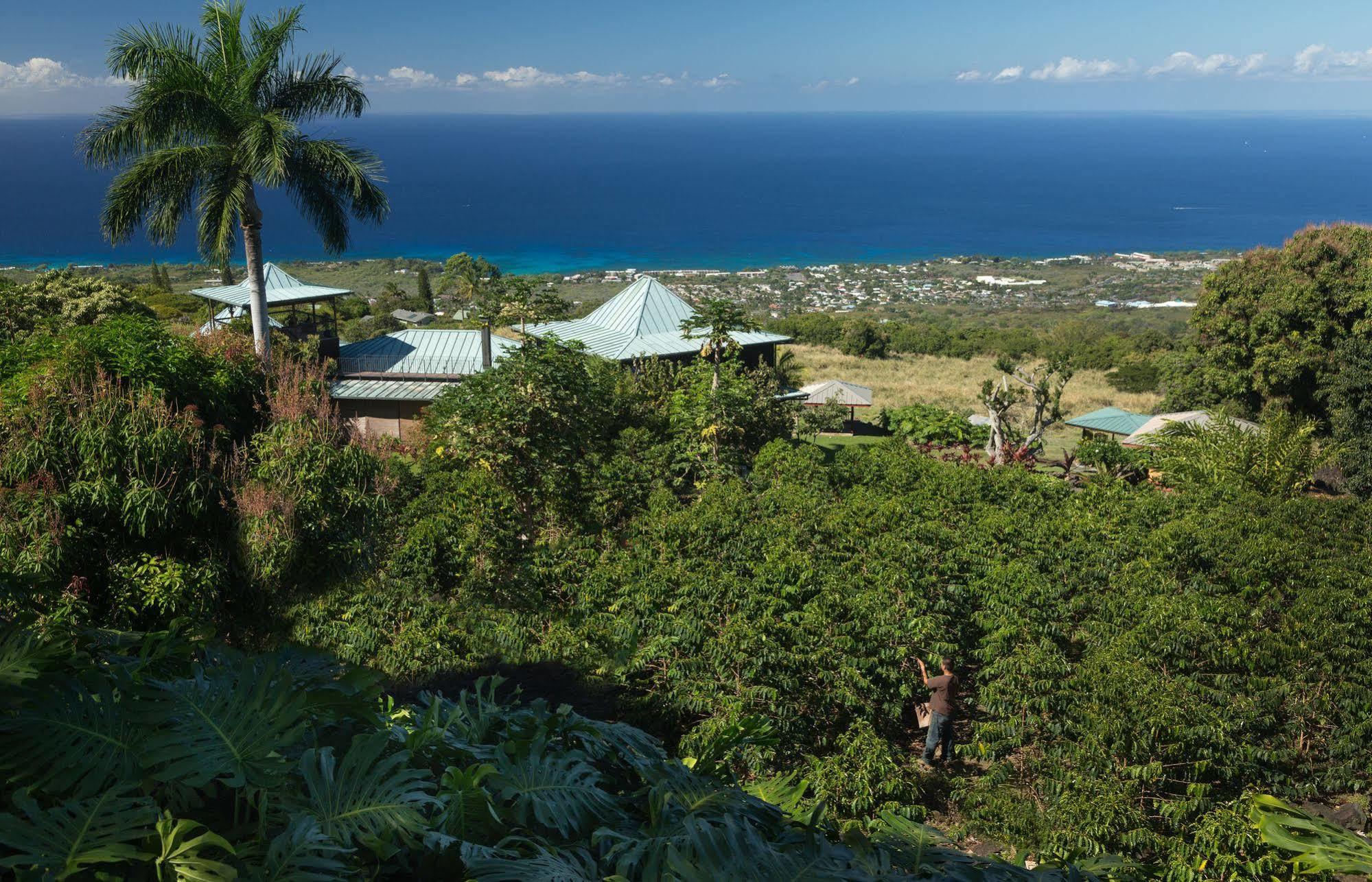 Holualoa Inn Exterior foto